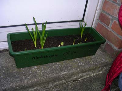 DSCN3006.jpg