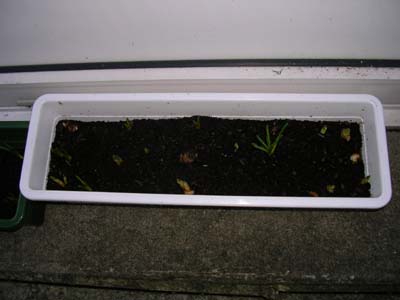 DSCN3009.jpg