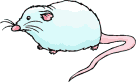 souris.gif souris.gif